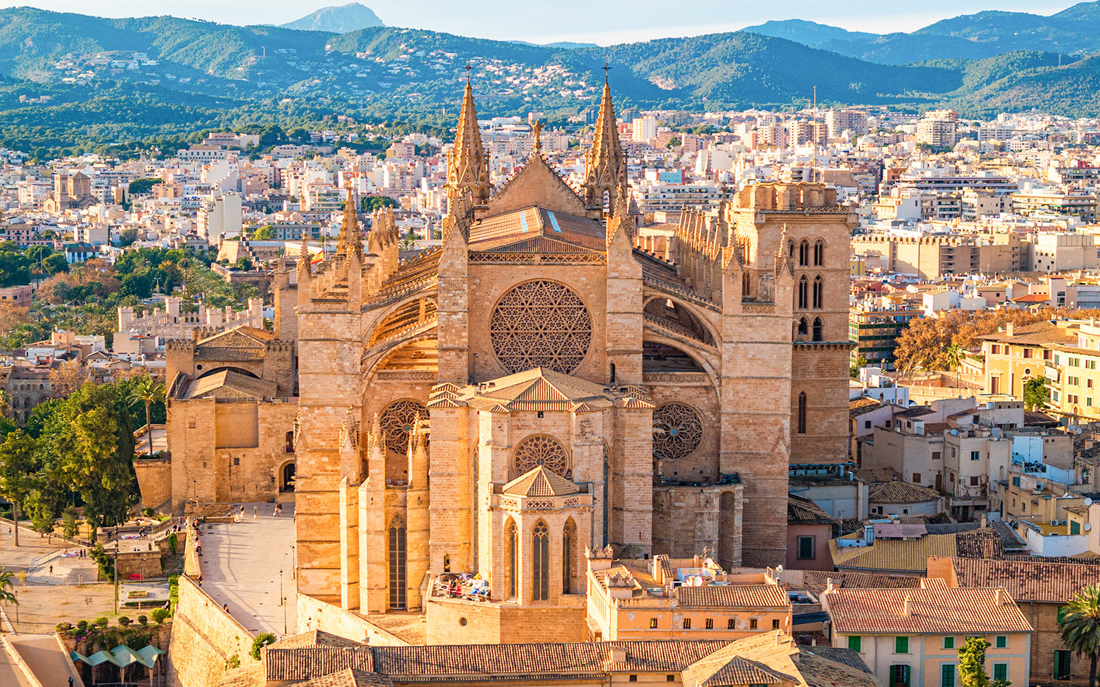 Palma Cathedral during summers