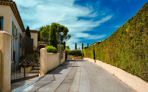aix-en-provence private walking tour with local guide-1
