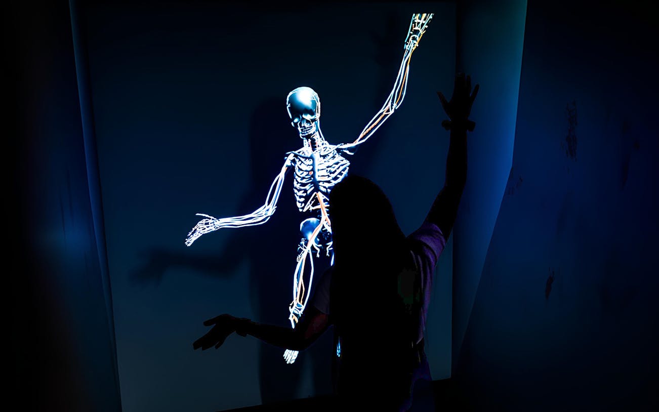 Person interacting with a digital skeleton display at DeJa Vu Museum Berlin.
