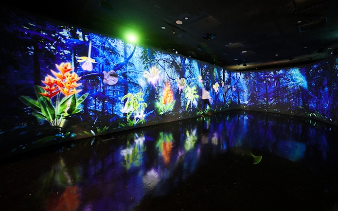 Tourists exploring vibrant digital rainforest at Cloud Forest Hidden Gallery, Gardens by the Bay.