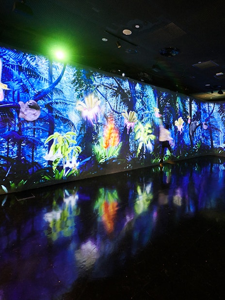 Tourists exploring vibrant digital rainforest at Cloud Forest Hidden Gallery, Gardens by the Bay.