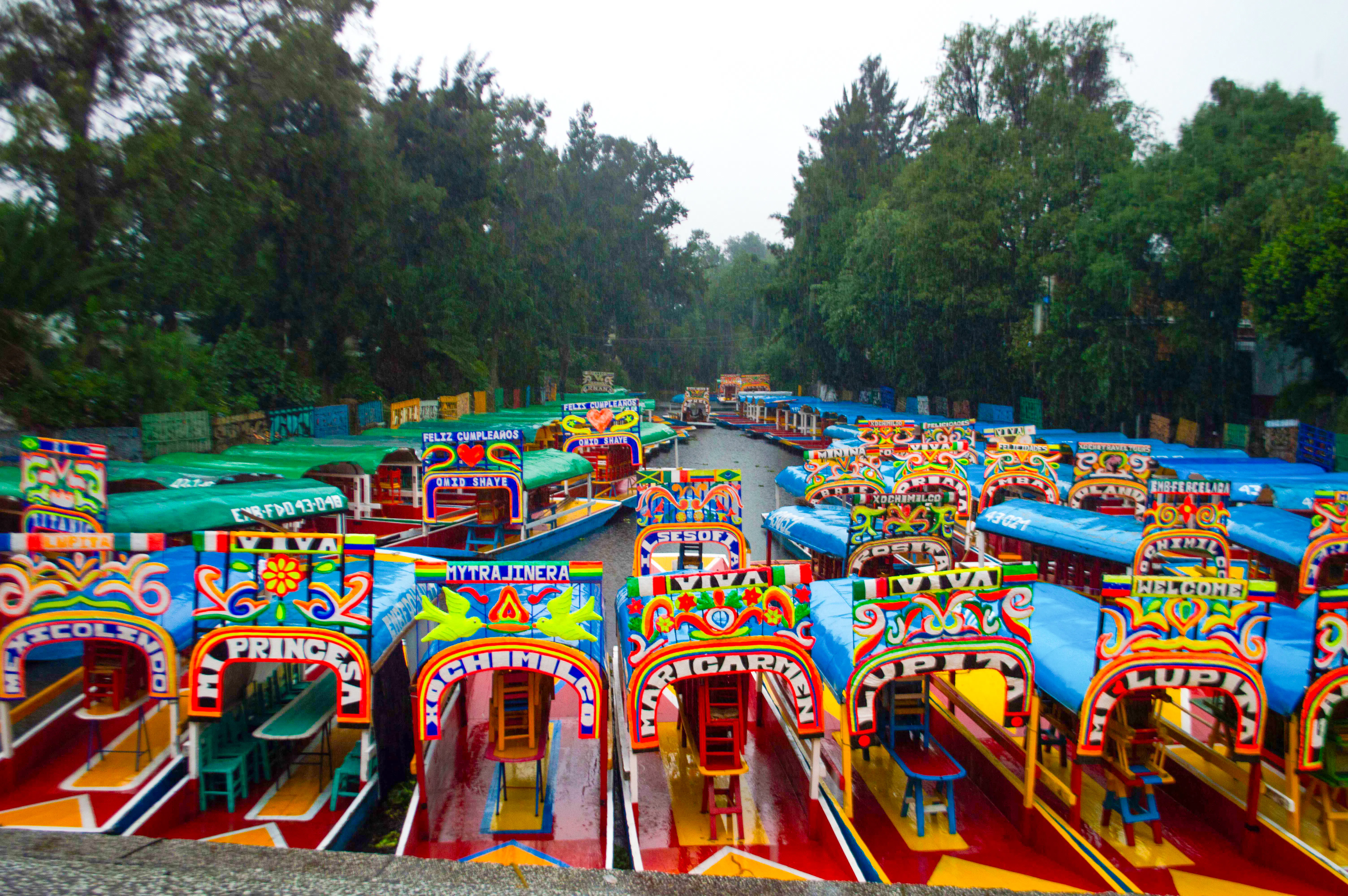 Xochimilco, Coyoacán & UNAM Guided Tour with Trajinera Ride Image 3