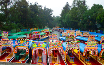 tour guidato di xochimilco, coyoacán e unam con giro in trajinera-3