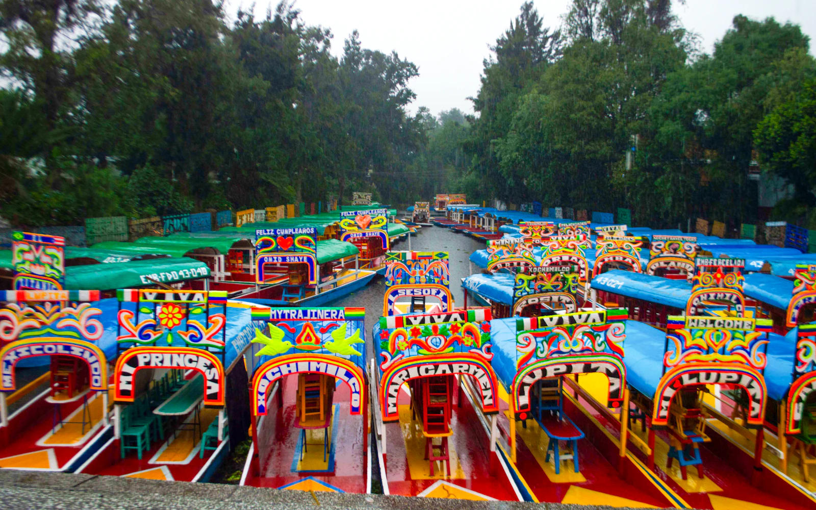 Xochimilco, Coyoacán & UNAM Guided Tour with Trajinera Ride Image 3