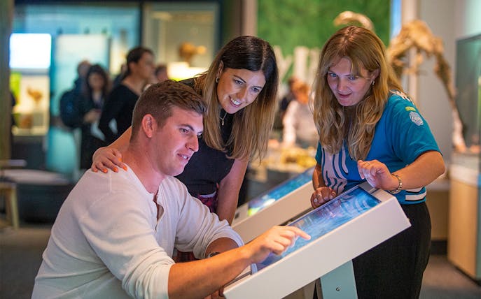 Visitors interacting with digital displays at Gallipoli Exhibition, Te Papa Tongarewa Museum.