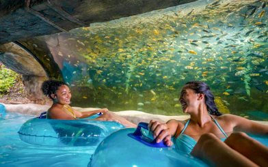 Visitors enjoying a lazy river ride with underwater views of fish at Aquatica Orlando.