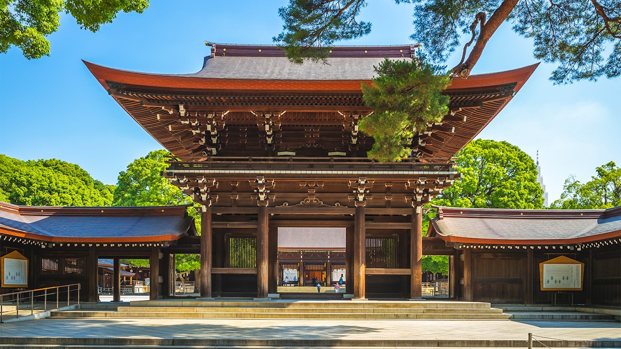 Shibuya Sky - Meiji Jingu Shrine