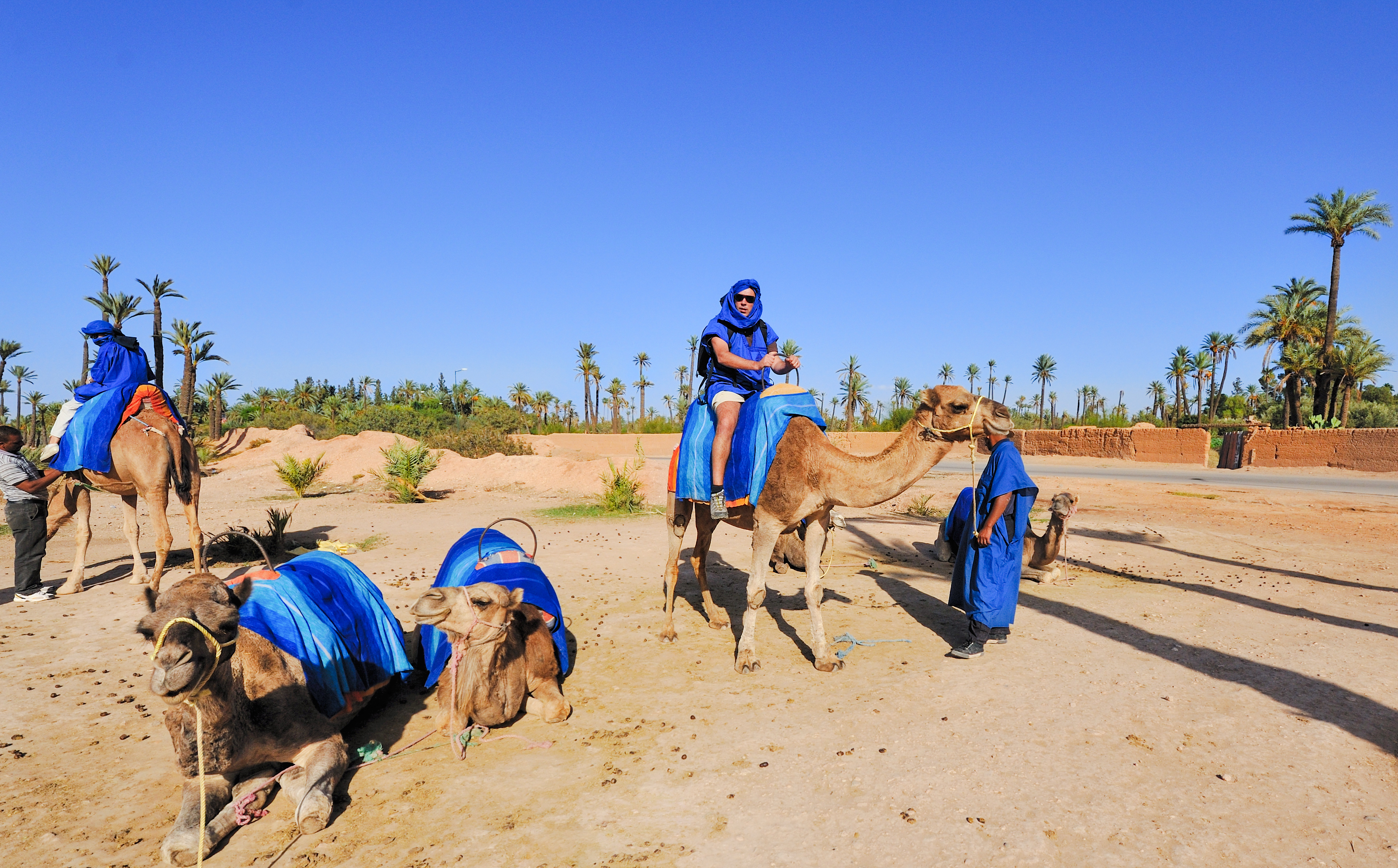 Camel ride in Palmeraie with people in blue attire, surrounded by palm trees.