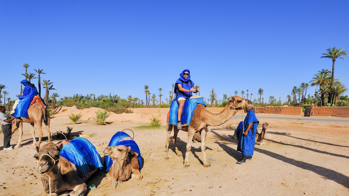Camel ride in Palmeraie with people in blue attire, surrounded by palm trees.