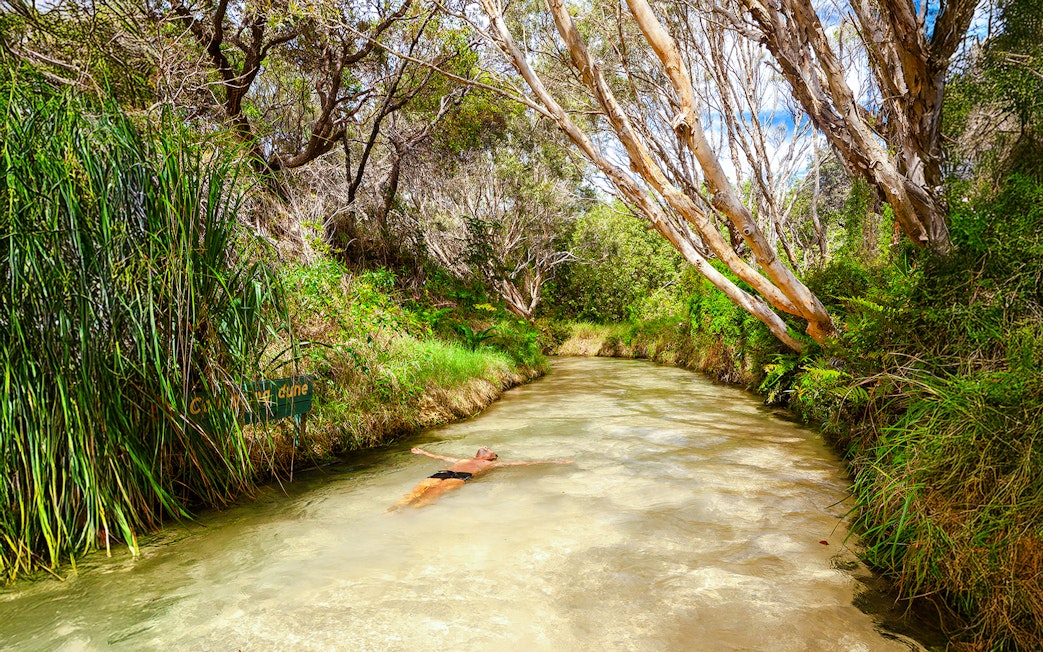 Man swimming in Eli Creek on Fraser Island, K'gari, surrounded by lush greenery.