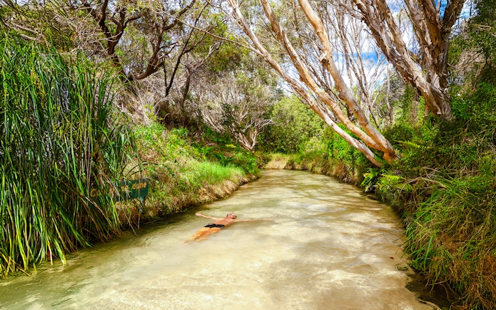 Man swimming in Eli Creek on Fraser Island, K'gari, surrounded by lush greenery.