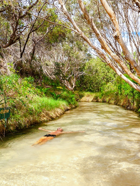 Man swimming in Eli Creek on Fraser Island, K'gari, surrounded by lush greenery.