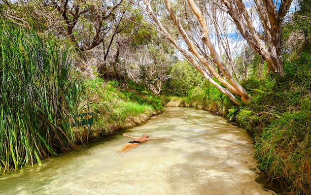 Man swimming in Eli Creek on Fraser Island, K'gari, surrounded by lush greenery.