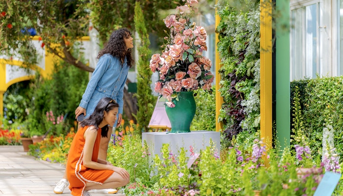 Visitors walking through the lush greenery of New York Botanical Garden.