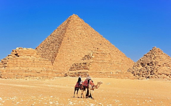 Camel Safari