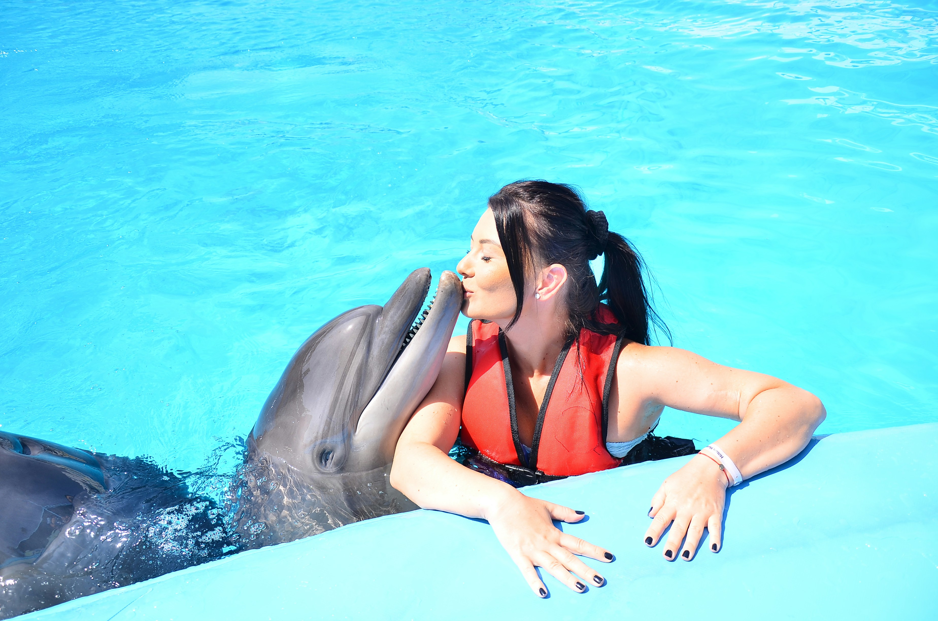 Person interacting with a dolphin at Dolphin World during a private photo experience.