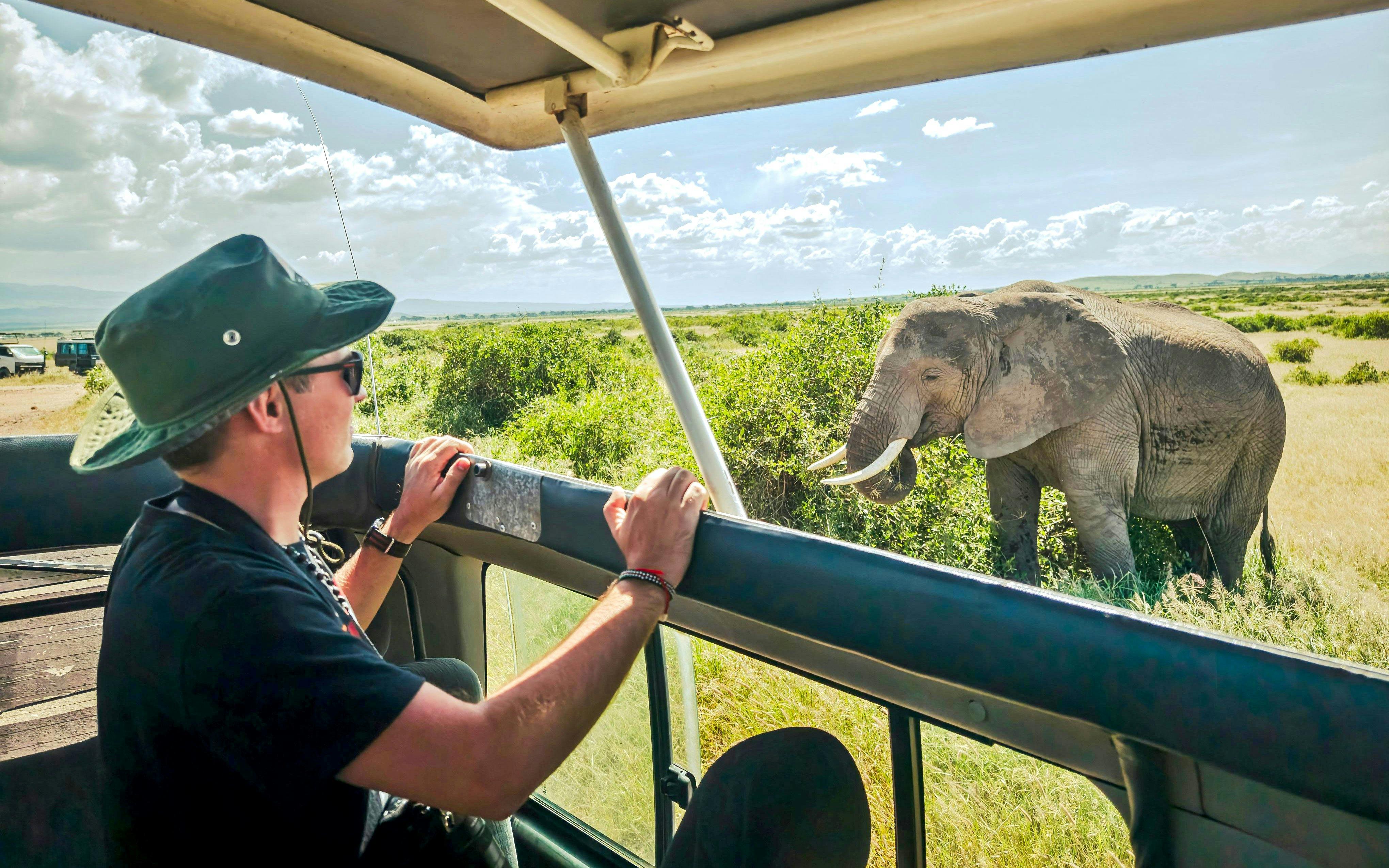 Tourist in open-roof car observing elephant during African safari.