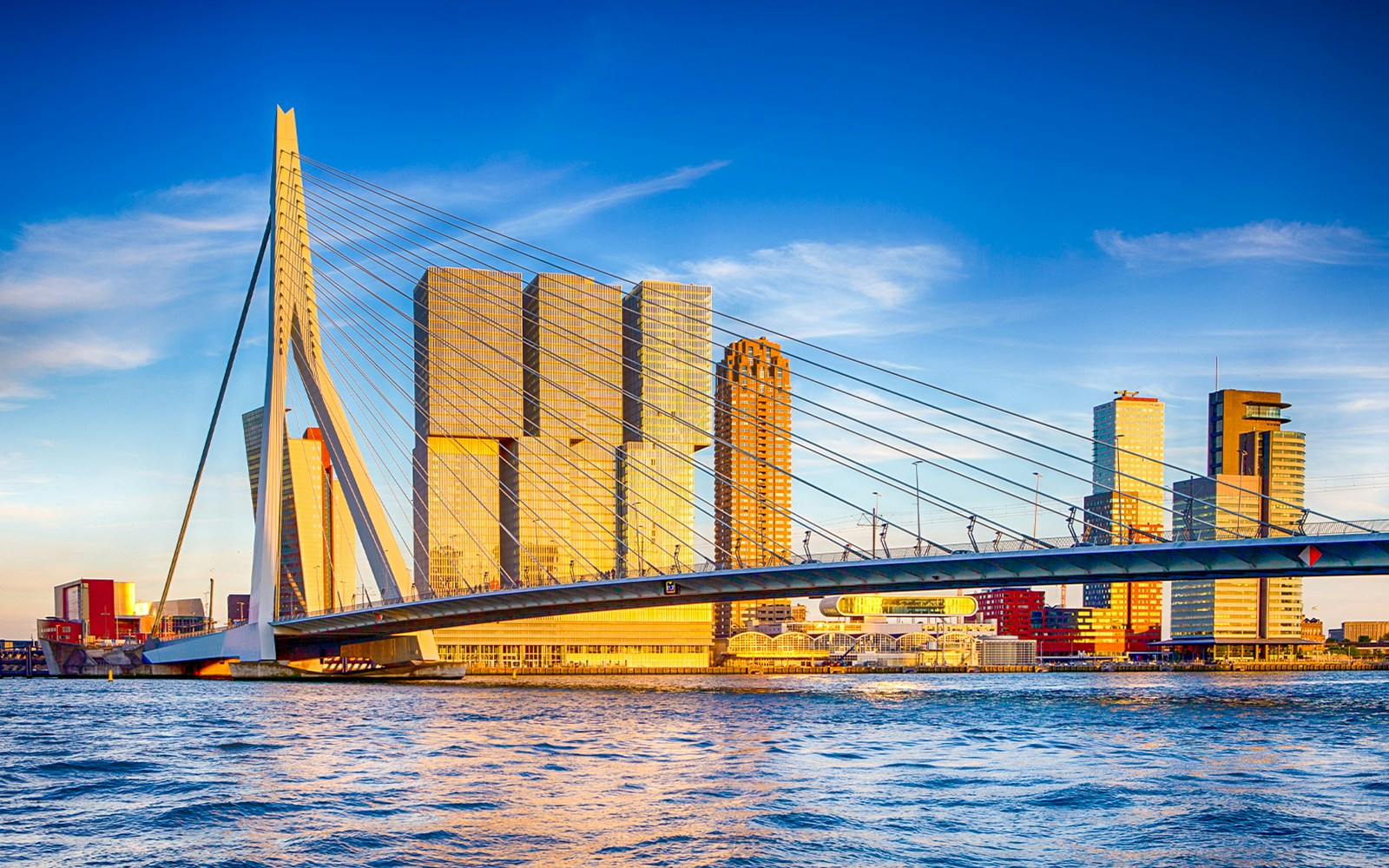 Erasmus Bridge and De Rotterdam buildings in Rotterdam, Netherlands.