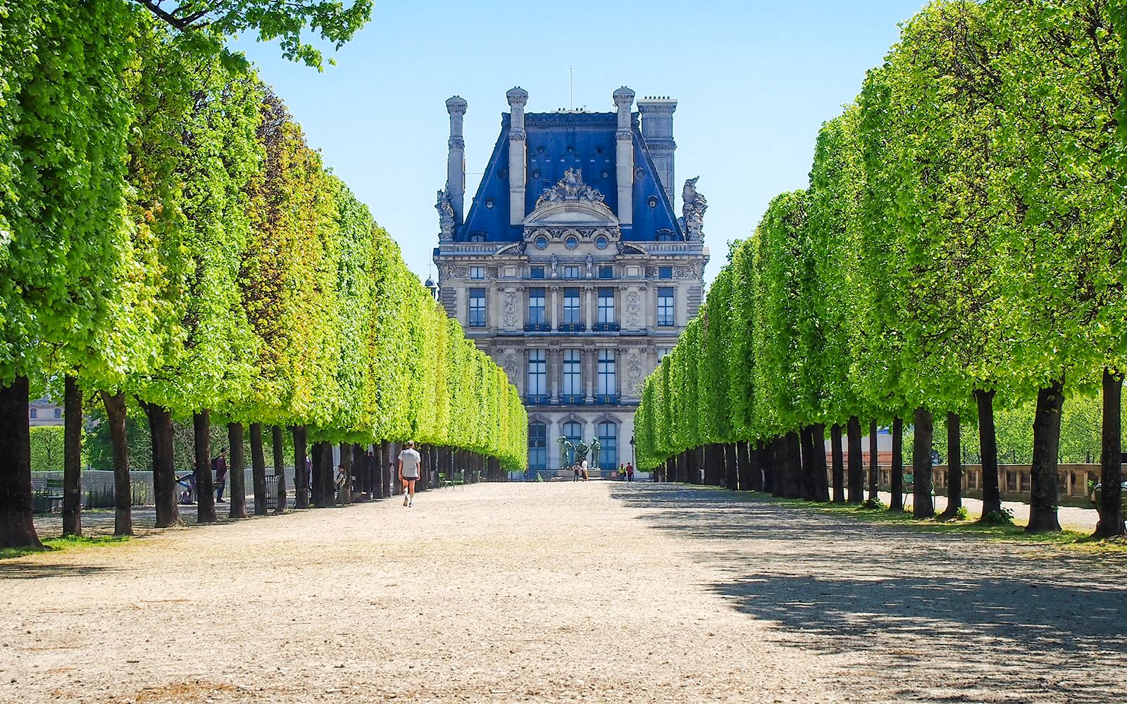 Pathway lined with trees leading to a historic building in Tuileries Garden, Paris.