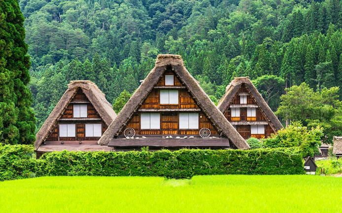 Traditional gassho-zukuri houses in Shirakawa-go village, surrounded by lush greenery.