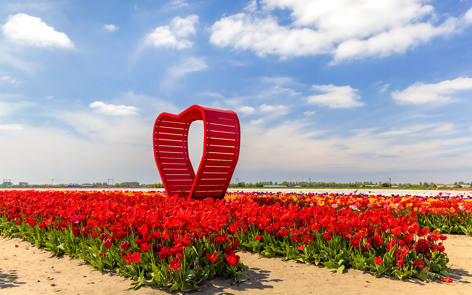 Red tulips and heart sculpture in Keukenhof tulip fields, Netherlands.