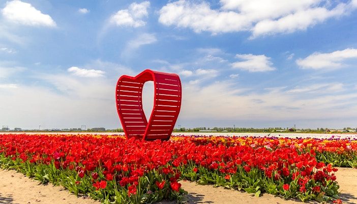 Romantic Mystery Garden im Amsterdamer Keukenhof