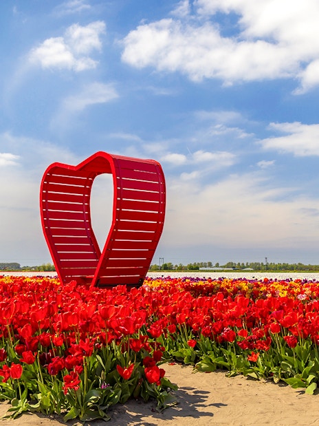 Red tulips and heart sculpture in Keukenhof tulip fields, Netherlands.