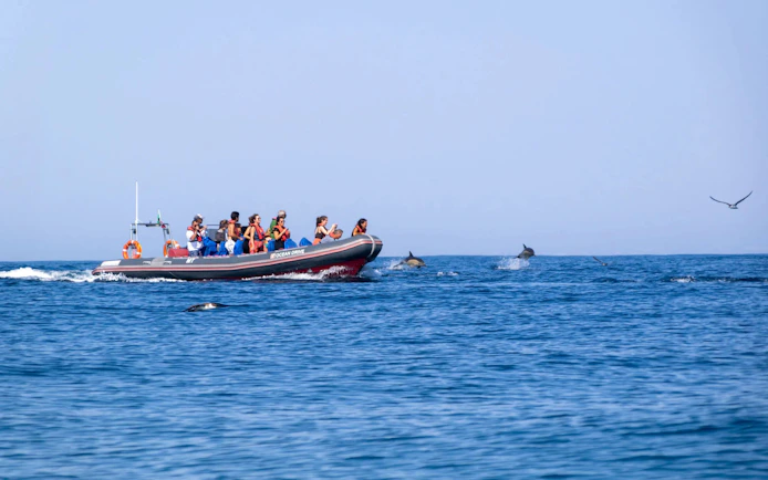 Tourists on RIB boat watching dolphins near Benagil Caves, Portugal.