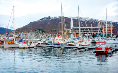 Tromso Private Old Town Walking Tour with Northern Lights Cruise