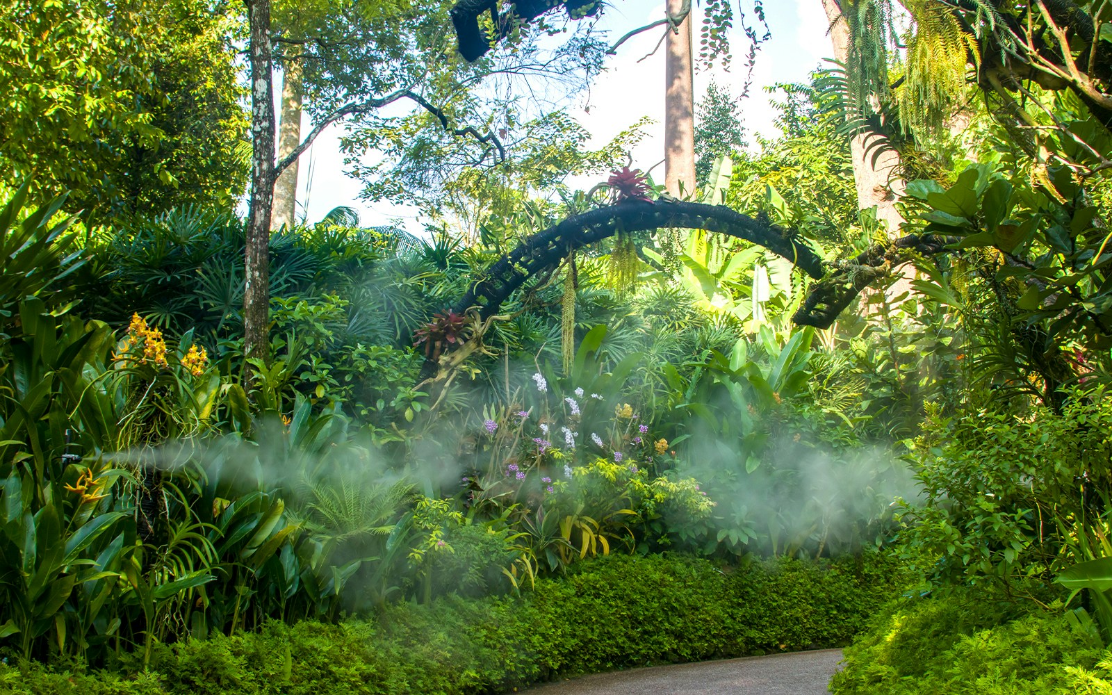 VIP Garden in Singapore