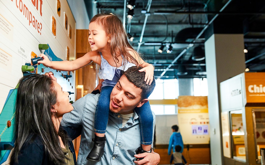 Family exploring interactive exhibit at Museum of Science Hall of Human Life.