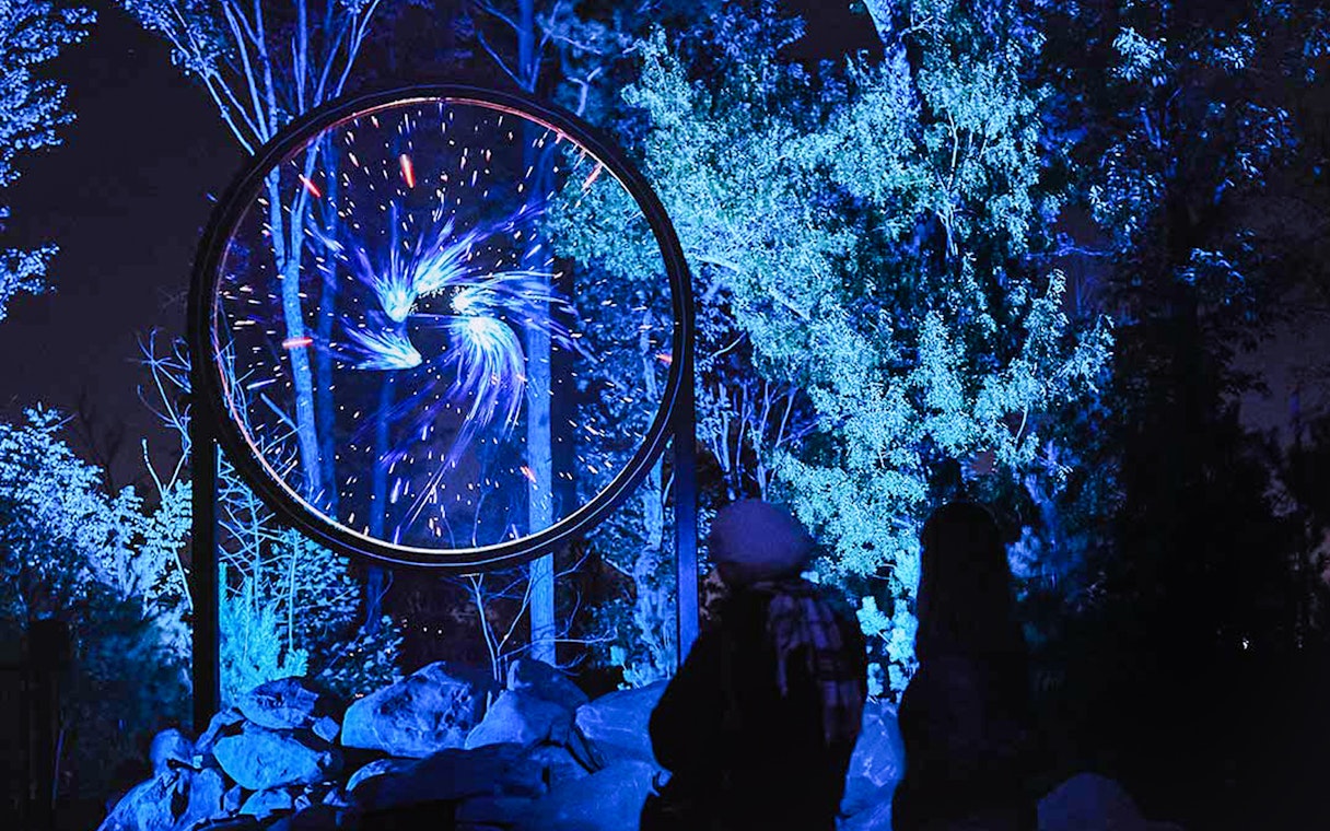Cosmic display at Astra Lumina, Currumbin Wildlife Sanctuary, with visitors observing.