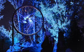 Cosmic display at Astra Lumina, Currumbin Wildlife Sanctuary, with visitors observing.