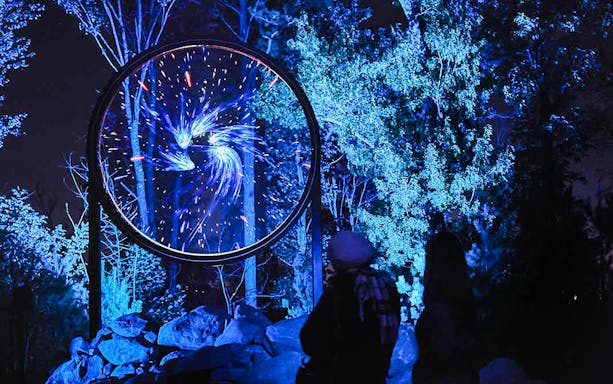 Cosmic display at Astra Lumina, Currumbin Wildlife Sanctuary, with visitors observing.