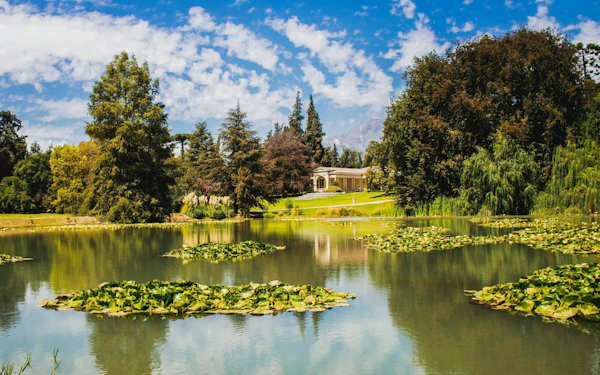 Concha y Toro Winery: Premium Experience at the Wine Center