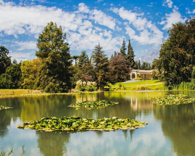 Concha y Toro Winery: Premium Experience at the Wine Center