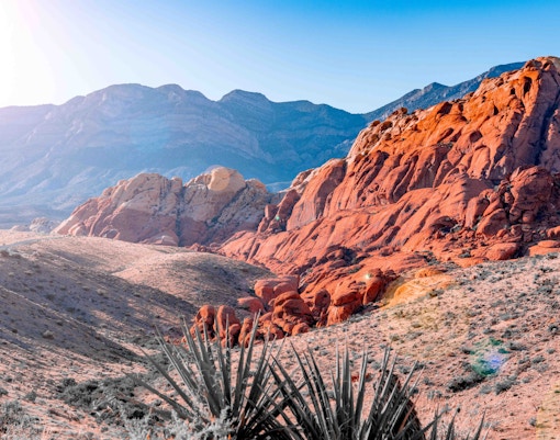 Hikers exploring trails at Red Rock Canyon, Nevada, with striking red sandstone formations.