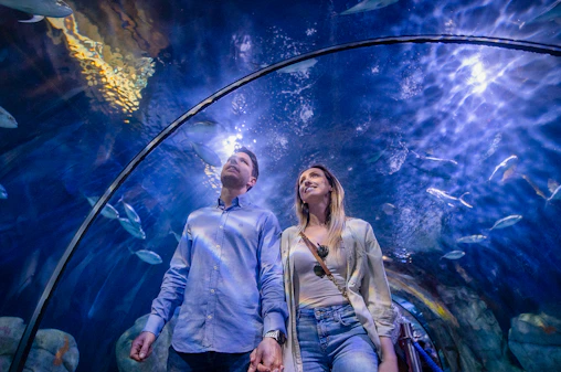 Combo: Oceanogràfic + Science Museum + Hemisfèric Tickets