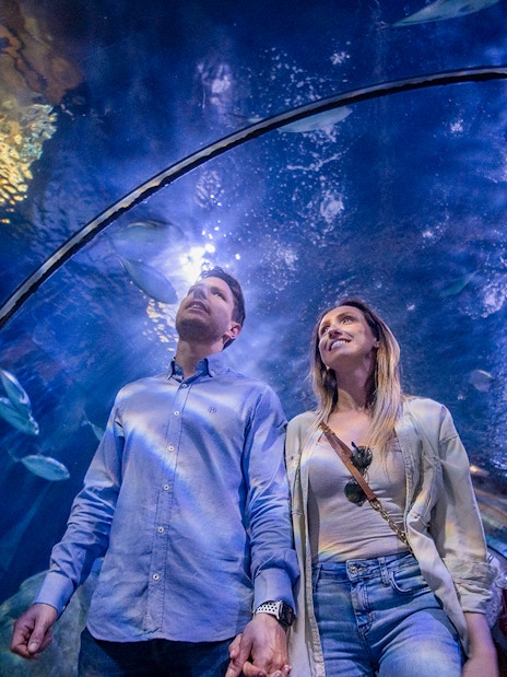 Couple walking through Oceanogràfic aquarium tunnel surrounded by fish.