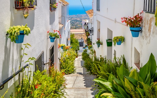 Narrow street in Mijas with white buildings and colorful potted plants.