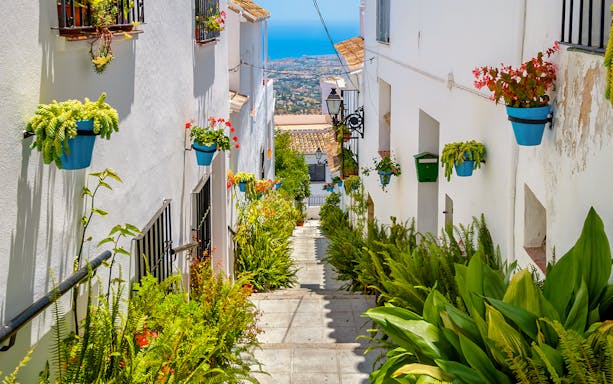 Narrow street in Mijas with white buildings and colorful potted plants.