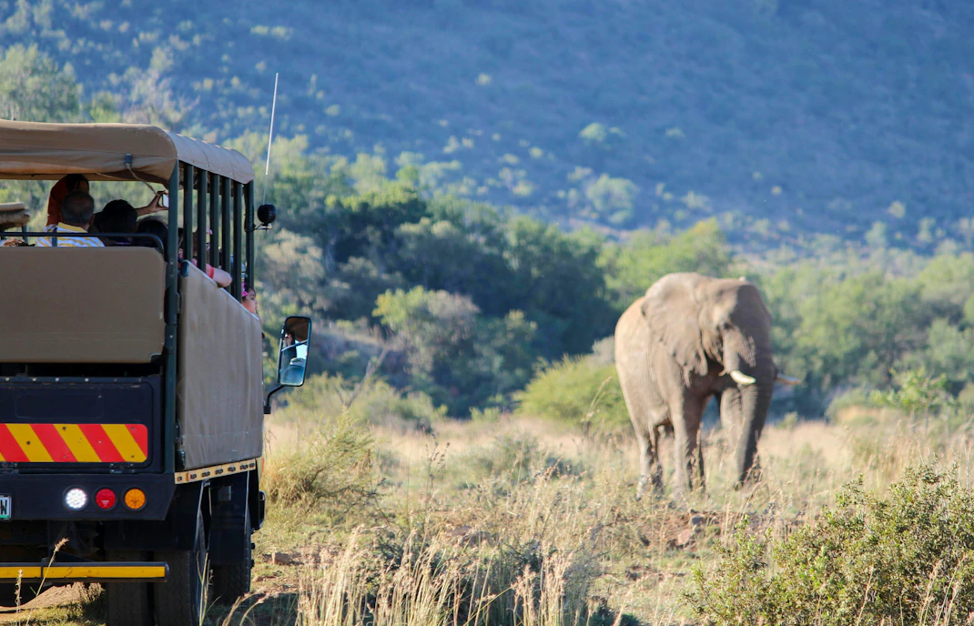 Pilanesberg National Park