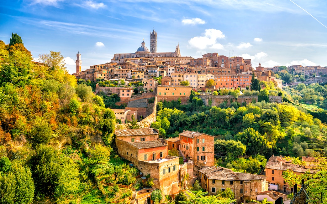 Siena cityscape with historic buildings and lush greenery during Chianti Half Day Wine Tasting Tour.