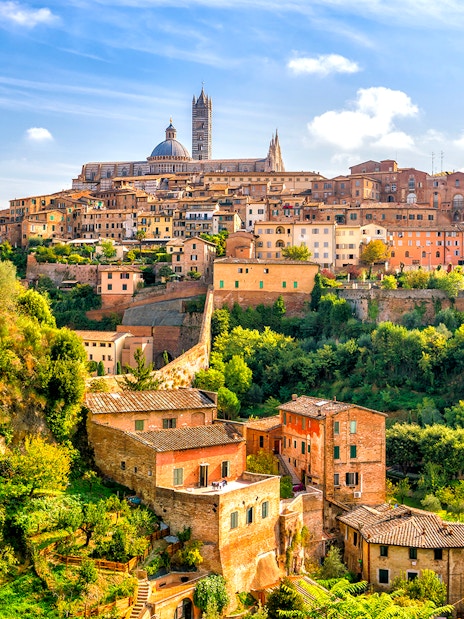 Siena cityscape with historic buildings and lush greenery during Chianti Half Day Wine Tasting Tour.
