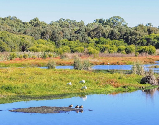 Day trips from Perth