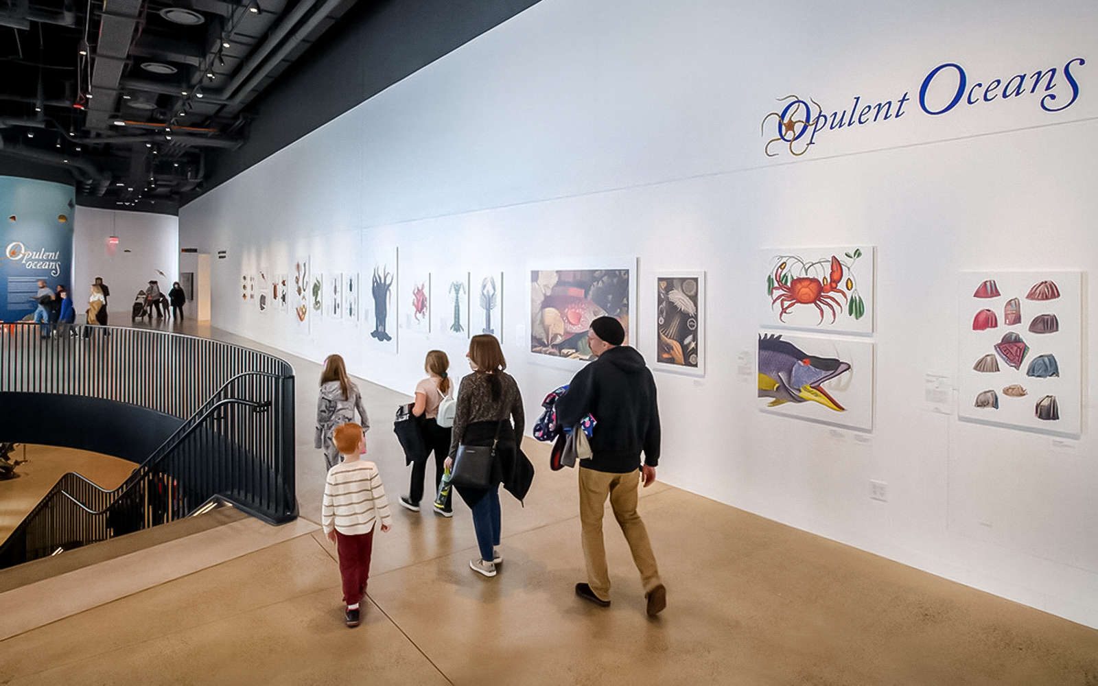 Visitors viewing marine life art at the Opulent Oceans exhibit.