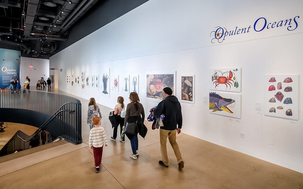 Visitors viewing marine life art at the Opulent Oceans exhibit.