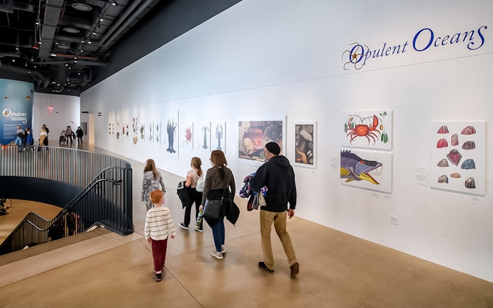 Visitors viewing marine life art at the Opulent Oceans exhibit.