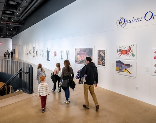 Marine life exhibit at Opulent Oceans, featuring diverse oceanic species in a vibrant aquarium setting.