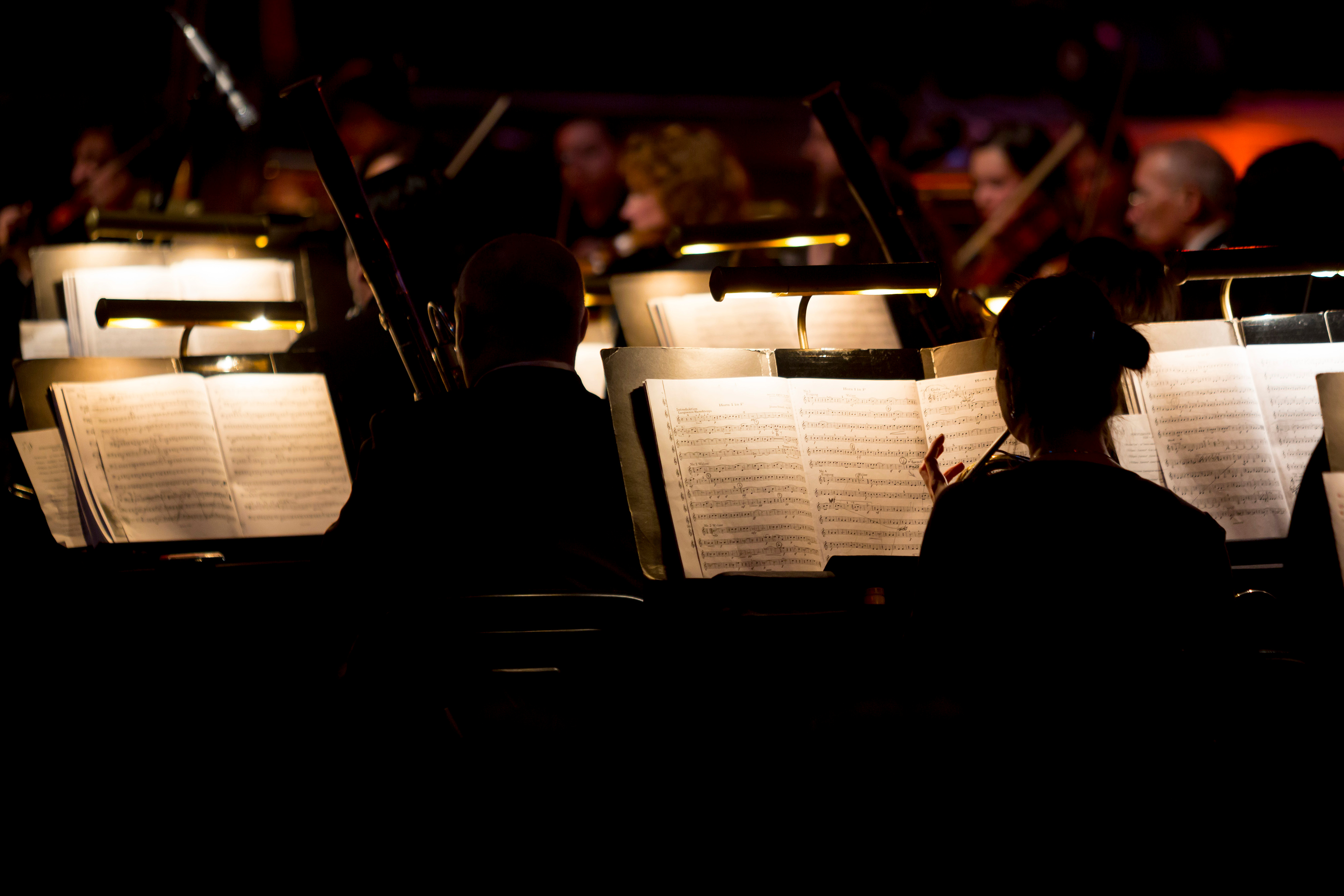 Musicians reading sheet music during an orchestra performance.